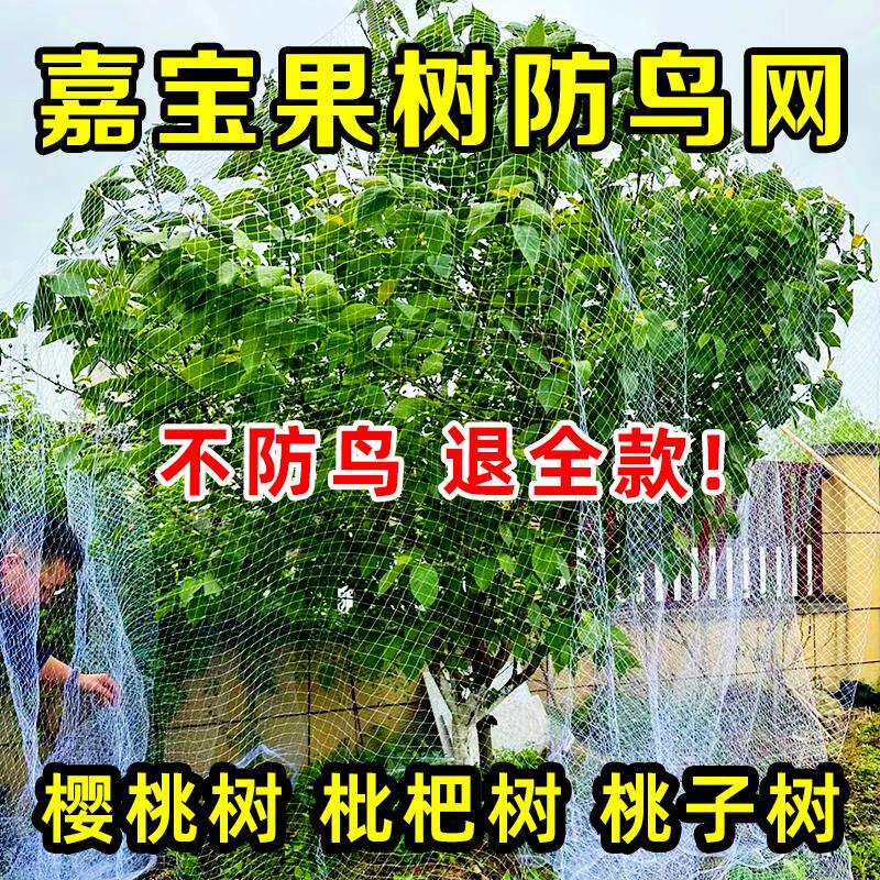 果树防鸟网罩果园防鸟用的网嘉宝果纱网大棚蔬菜葡萄水果樱桃专用