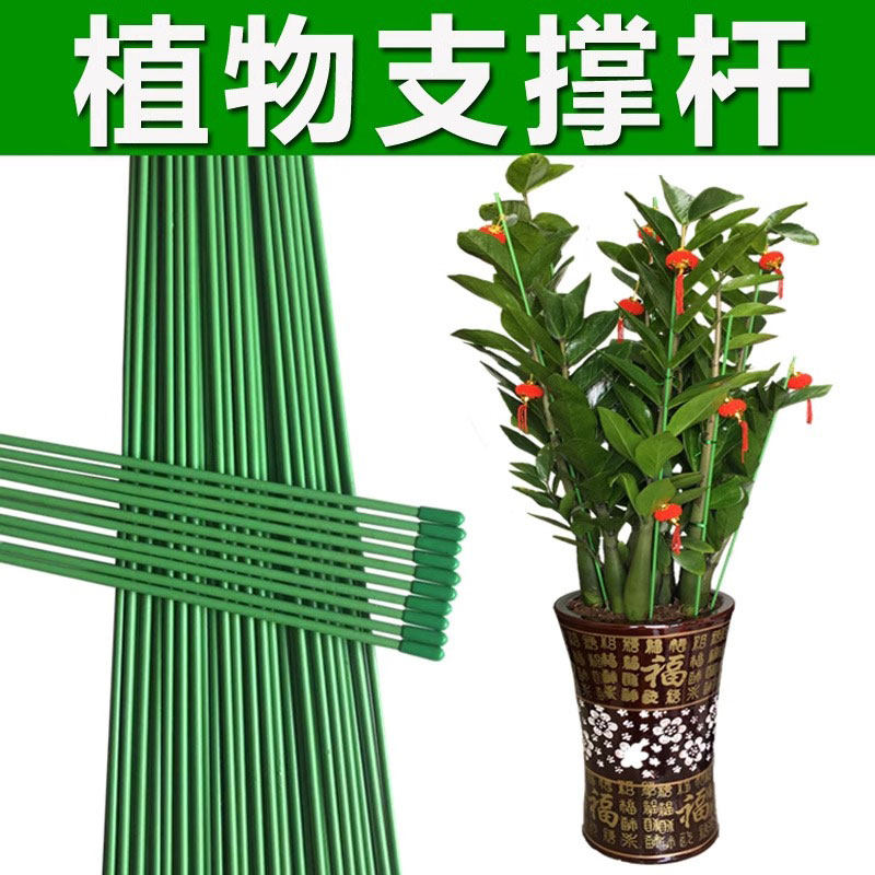 金钱树支伸缩杆花盆支架杆室内瓜果花卉植物园艺花架爬藤固定捆绑