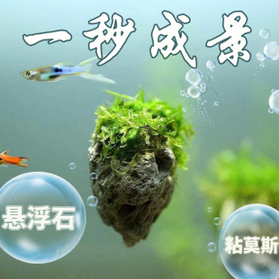 鱼缸造景石头摆件天然悬浮石粘莫斯水草缸装 饰假山懒人造景一整套
