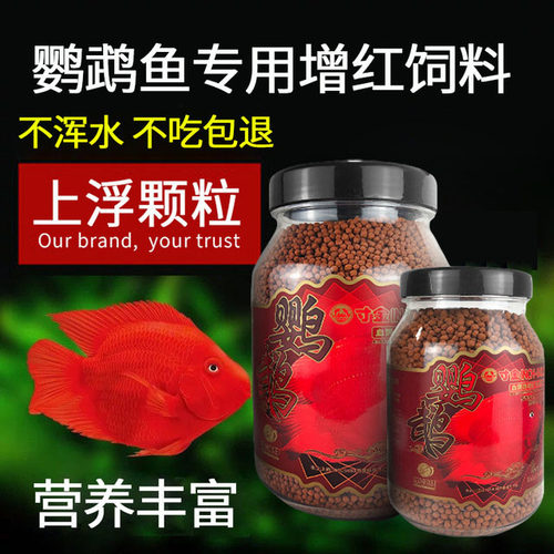 血鹦鹉鱼饲料增红增艳发财鱼增色