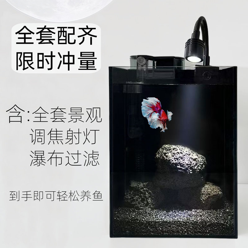 超白玻璃办公鱼缸网红造型超适合养孔雀斗鱼缸鱼缸小型桌面雷龙鱼