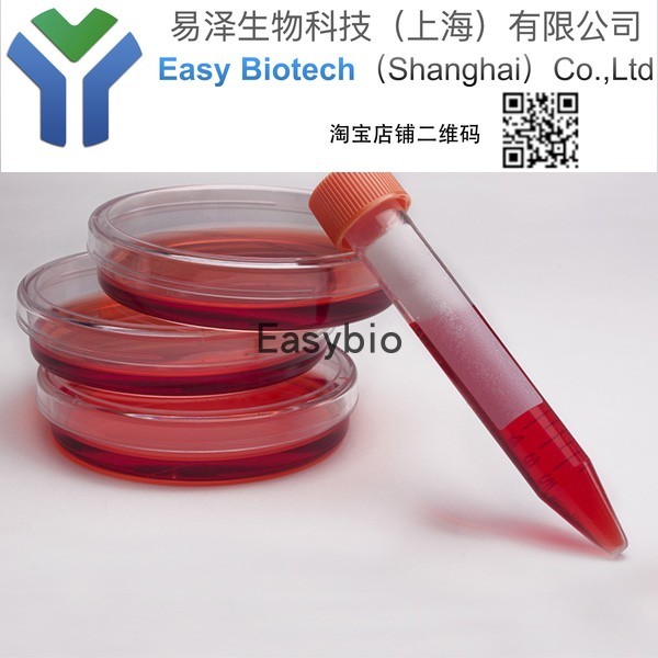 一次性真空式过滤器250ml,SFCA,