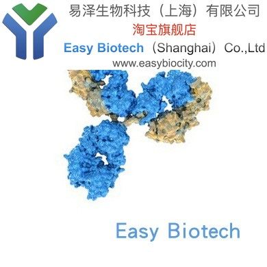 AQP3 Polyclonal Antibody 抗体包邮 高品质推荐在类目 润滑/胶粘/试剂/实验室耗材, 试剂中 - 来自Buy2taobao.com提供专业的淘宝代购服务