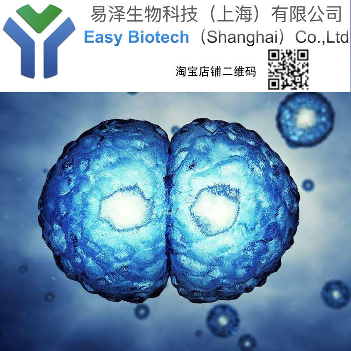 5637培养 可传代