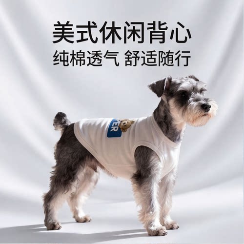 春季狗狗休闲风小熊可爱衣服秋户外雪纳瑞比熊泰迪小型犬绒衣服装