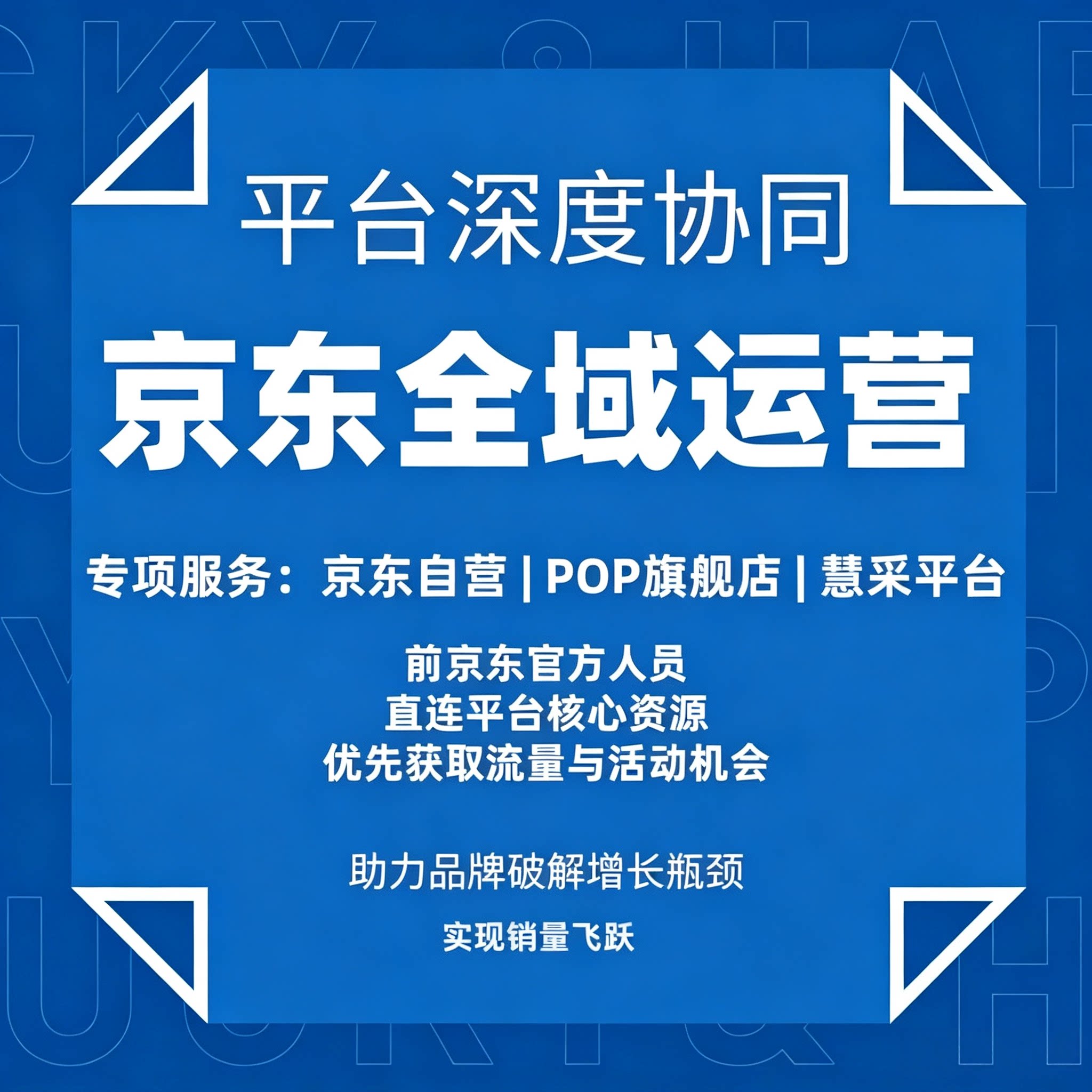 京东代运营京东国际POP托管自平面广告设计