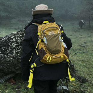 20L防雨罩专业户外登山包悬浮背负徒步骑行背包多功能户外双肩包