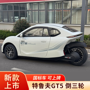 国标特鲁夫GT5电动三轮车倒三轮家用成人接送孩子代步车可上牌
