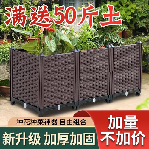 蔬菜种植花盆种菜盆田园塑料