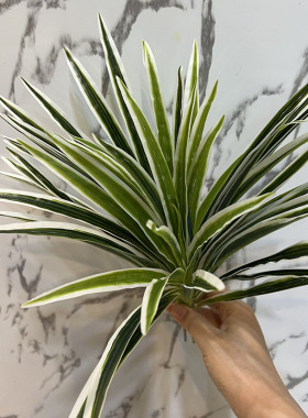 仿真吊兰盆景草装饰假花绿植龙须草吊兰花植物墙花草隔断园艺花