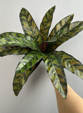 15叶凤尾蕨仿真蕨草鸟蕨植物墙配材盆景装饰过胶猫眼叶孔雀草