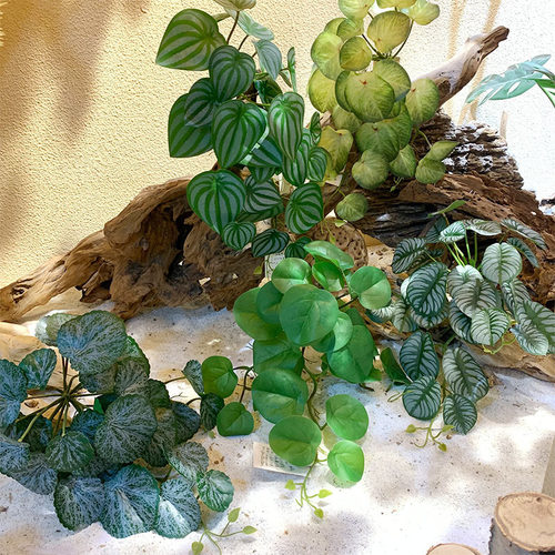 新款仿真小挂藤植物墙配材西瓜叶壁挂装饰吊挂藤条海棠叶孔雀叶藤
