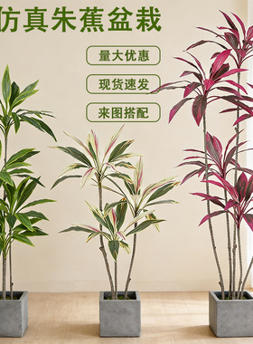 轻奢仿真绿植朱蕉七彩铁树盆栽客厅办公室大型落地装饰摆件假植物