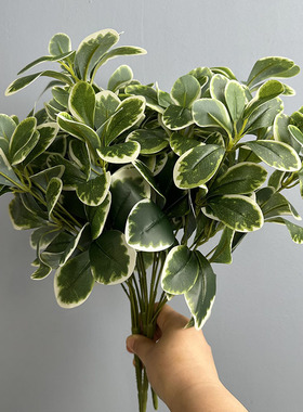 仿真植物 7头福禄桐人造绿植花家居装饰艺塑料金钱兜鸭脚木