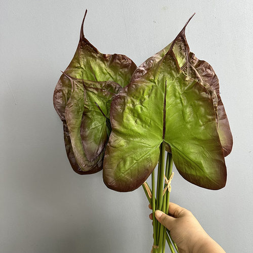 仿真植物PU合果芋叶彩芋叶 绿植墙插花配材居家墙面装饰假绿叶
