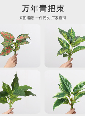 仿真绿植10叶万年青植物墙把束配件室内家居装饰假叶子假植物造景