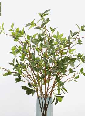 亚马孙 仿真手感叶子小枝榕叶客厅酒店装饰胶布仿真榆树叶