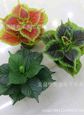 绣球叶赤苏植物墙配材仿真叶子紫苏树叶盆景装饰桂荏紫苏叶小绣球