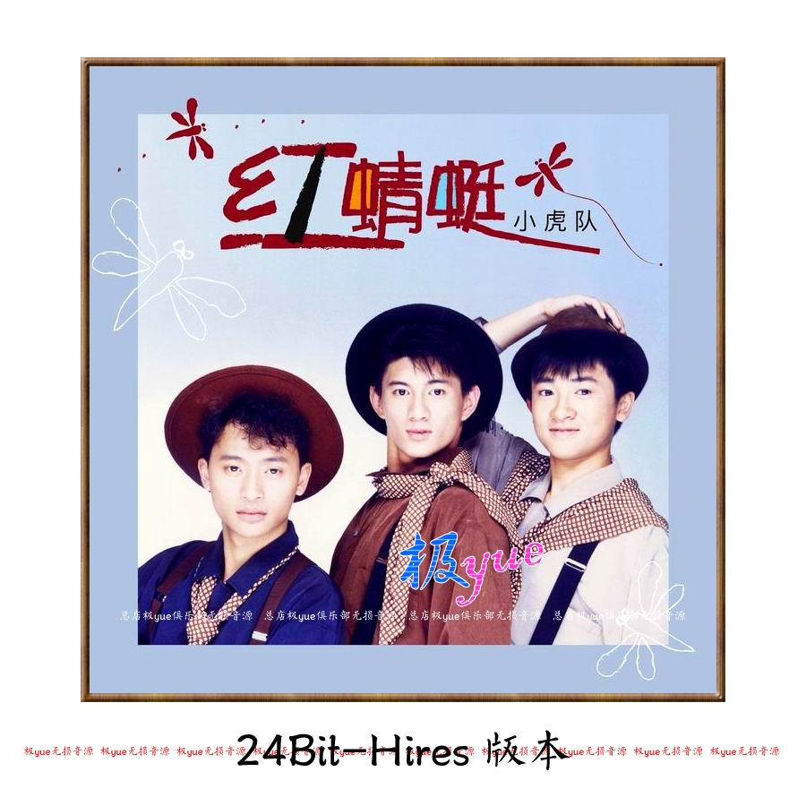 小虎队2025环球复刻全集【只为您的情怀收藏】正方形封面等 精致