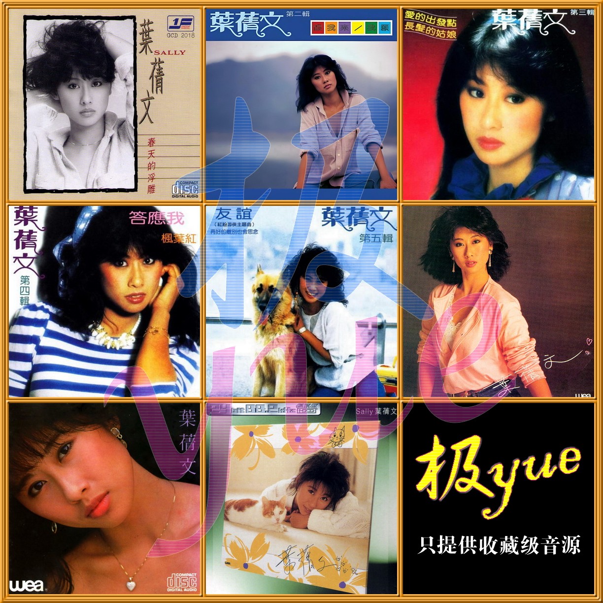 【极yue无损音源】叶倩文精校合集44专辑 分轨DSD64+FLAC 收藏级