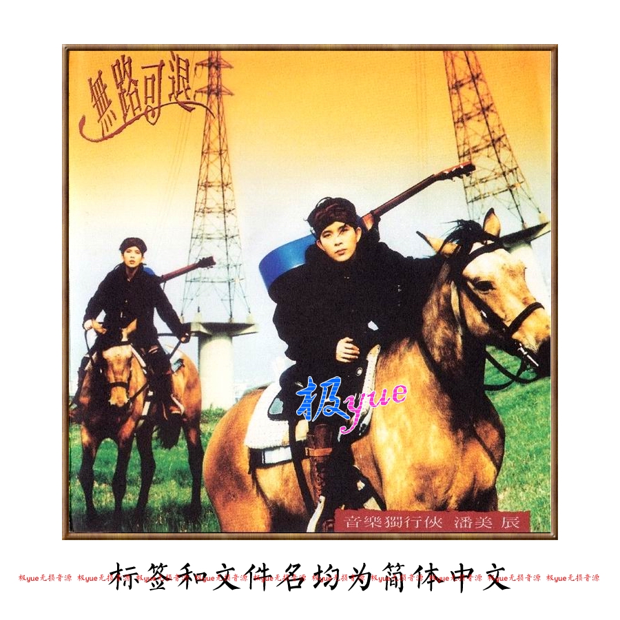 潘美辰【总店俱乐部无损】实销20+高清正方形封面精致精校 图页详