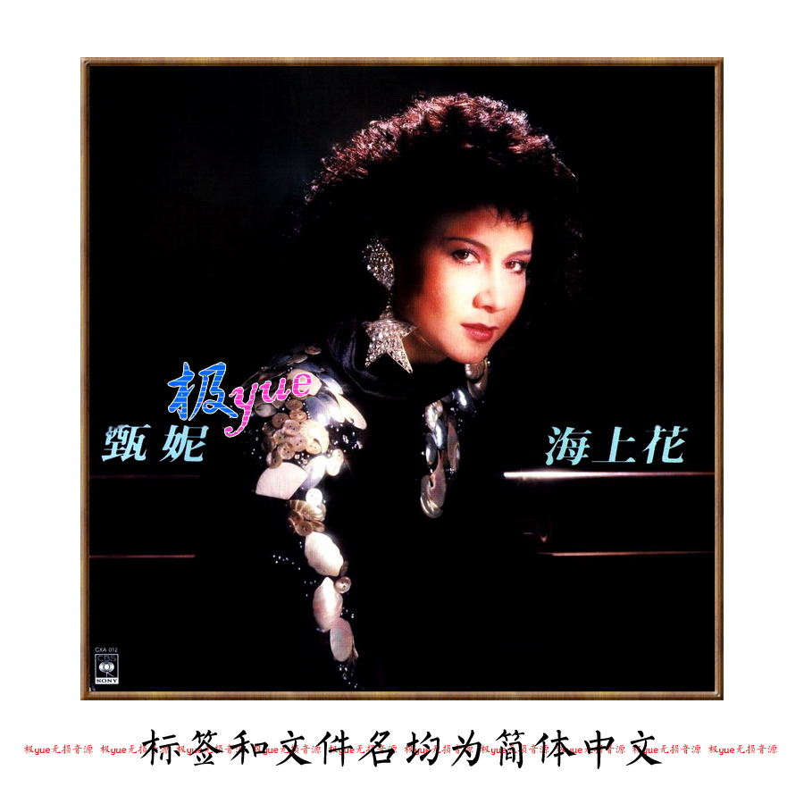 甄妮 实销60+【总店俱乐部无损】正方形封面等精致整理 目录页详