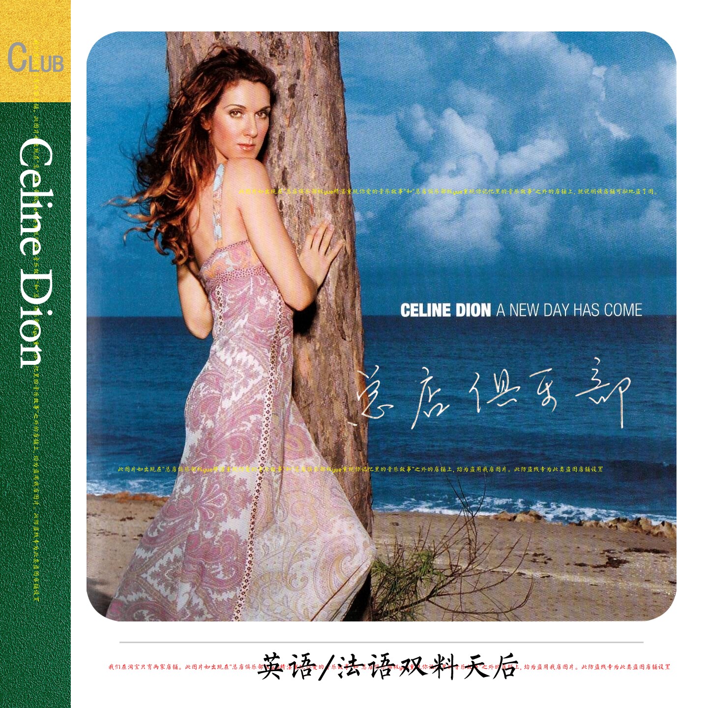 席琳狄翁Celine Dion 实销45+【为您呈现：有意义的音乐曲库】赞