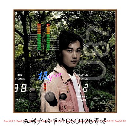 华语DSD128合集 实售300+【总店俱乐部】精致精校原创首发 图页详