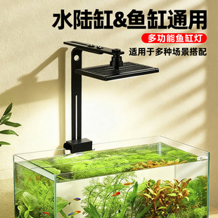 鱼缸灯全光谱暴藻灯金鱼增色原生溪流造景专用灯吊灯射灯手机控制