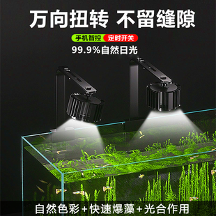 鱼缸灯全光谱筒灯LED水草灯小型造景观灯溪流刚水陆缸南美灯爆藻
