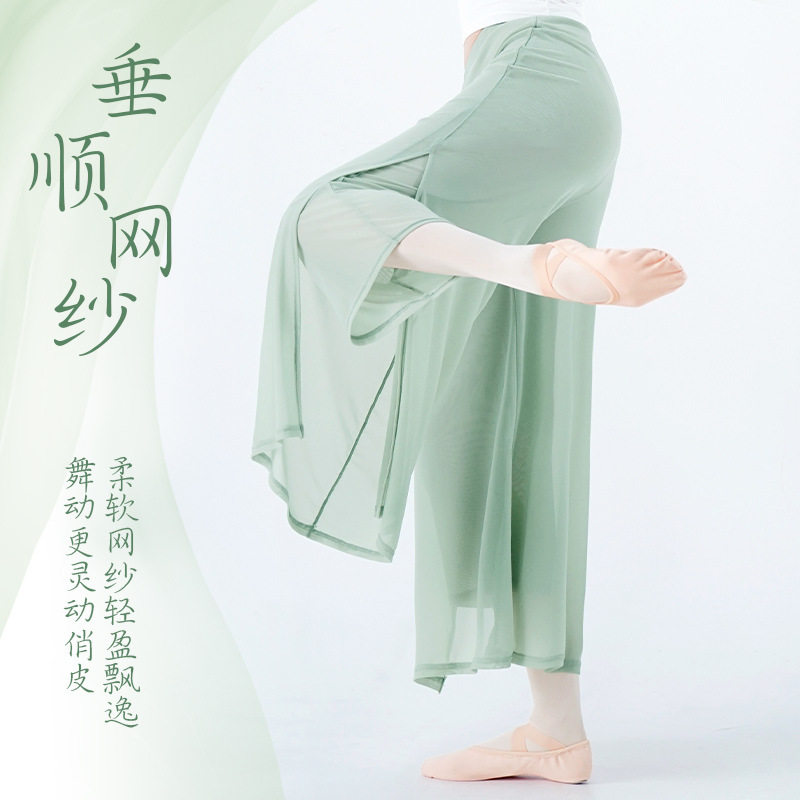 舞蹈服长裤女成人现代舞女双层网纱侧开叉长裤宽松形体古典练功裤