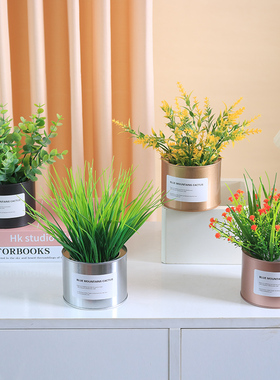 塑料花尤加利绿植小盆栽装饰