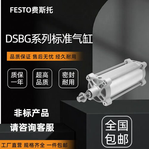 全新进口密封DSBG/DNG现货
