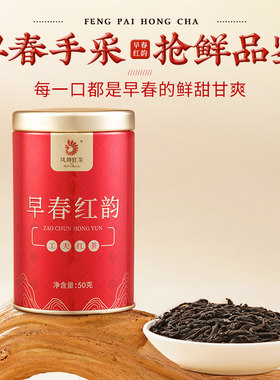 凤牌新品早春红韵工夫茶罐装50g