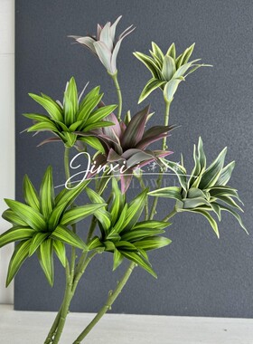 3叉金边百合竹 仿真绿植手感胶片布造景装饰花紫露草高品质叶材