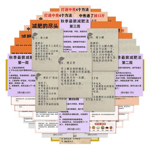 中医健康养生减肥贴纸学生手帐