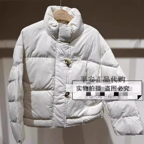 Jessyline杰西莱专柜正品2024冬季款羽绒服外套女441208376-1180