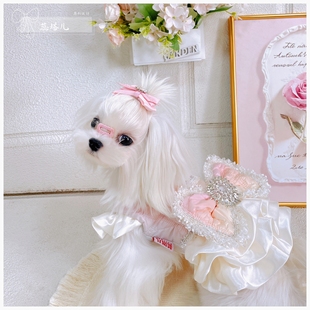 狗狗棉服裙马尔济斯夹棉连衣裙大蝴蝶结加绒约克夏小体狗衣服冬装