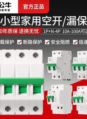 公牛2p3p4p空气开关32a家用小型空开电闸63a总闸断路器开关LB3