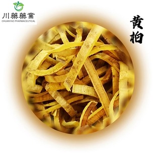 去皮黄柏 川黄柏500g 川药药业 黄柏供应 新货