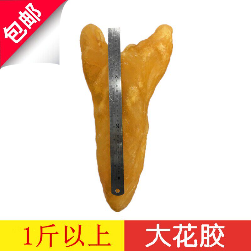 特大进口鱼肚花胶筒1斤以上深海干貨女性营养滋补品500G