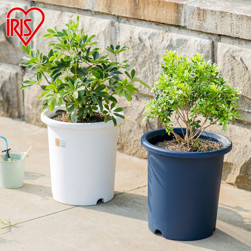 爱丽思deepot深型月季铁线莲加厚树脂透气花盆爱丽丝绣球控根大盆