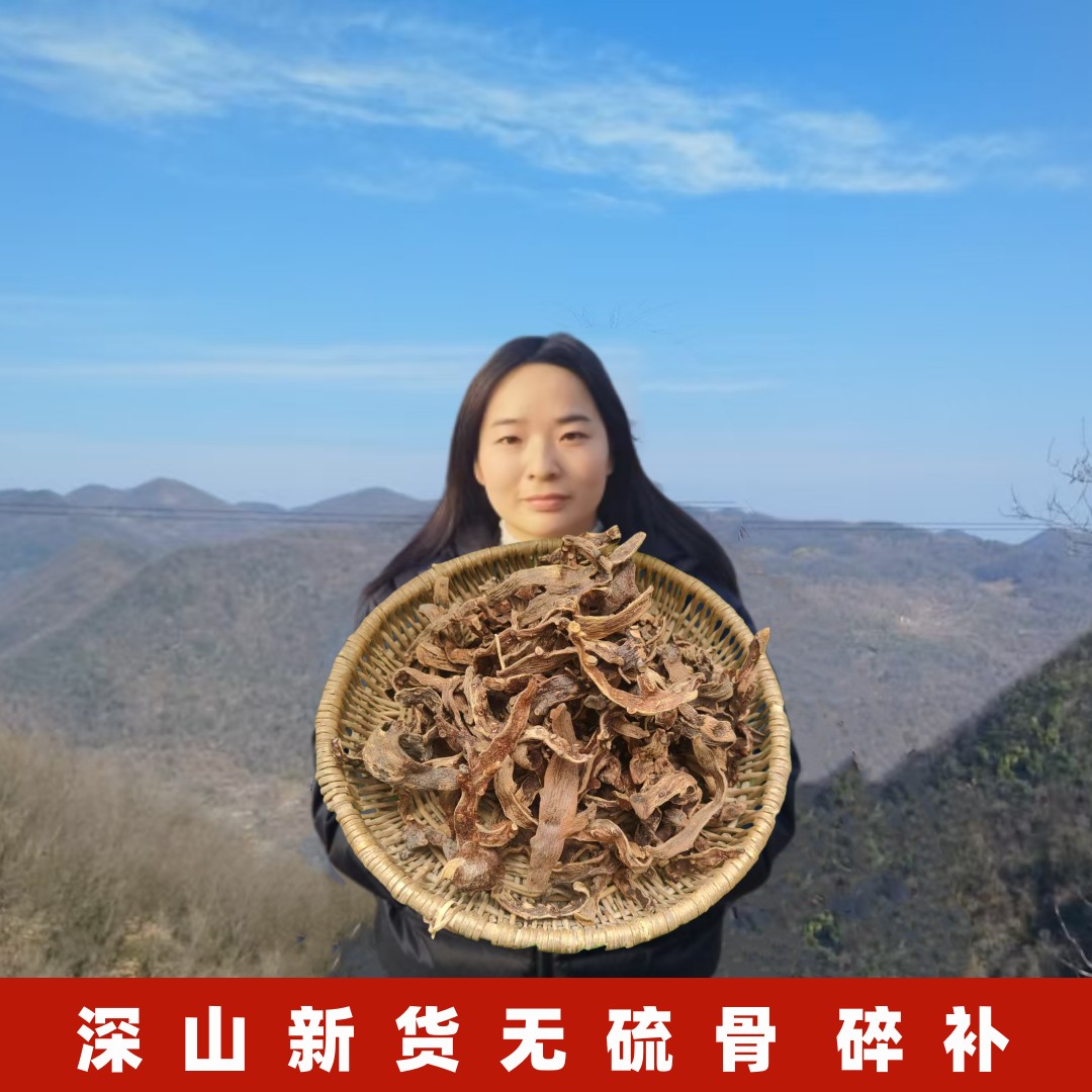 野生新货骨碎补中药材正品肉碎补岩连姜崖姜骨碎朴茶500g毛姜现货