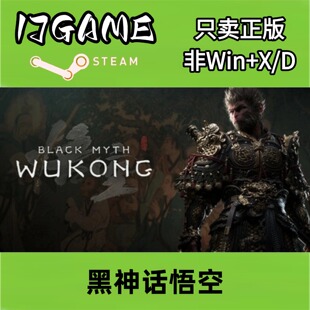 Steam 正版 国区 黑神话悟空 cdkey 激活入库 pc端游戏