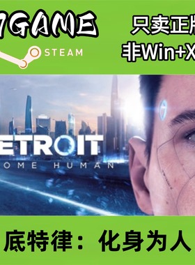 Steam 正版 国区 底特律化身为人 cdkey 激活入库 pc端游戏