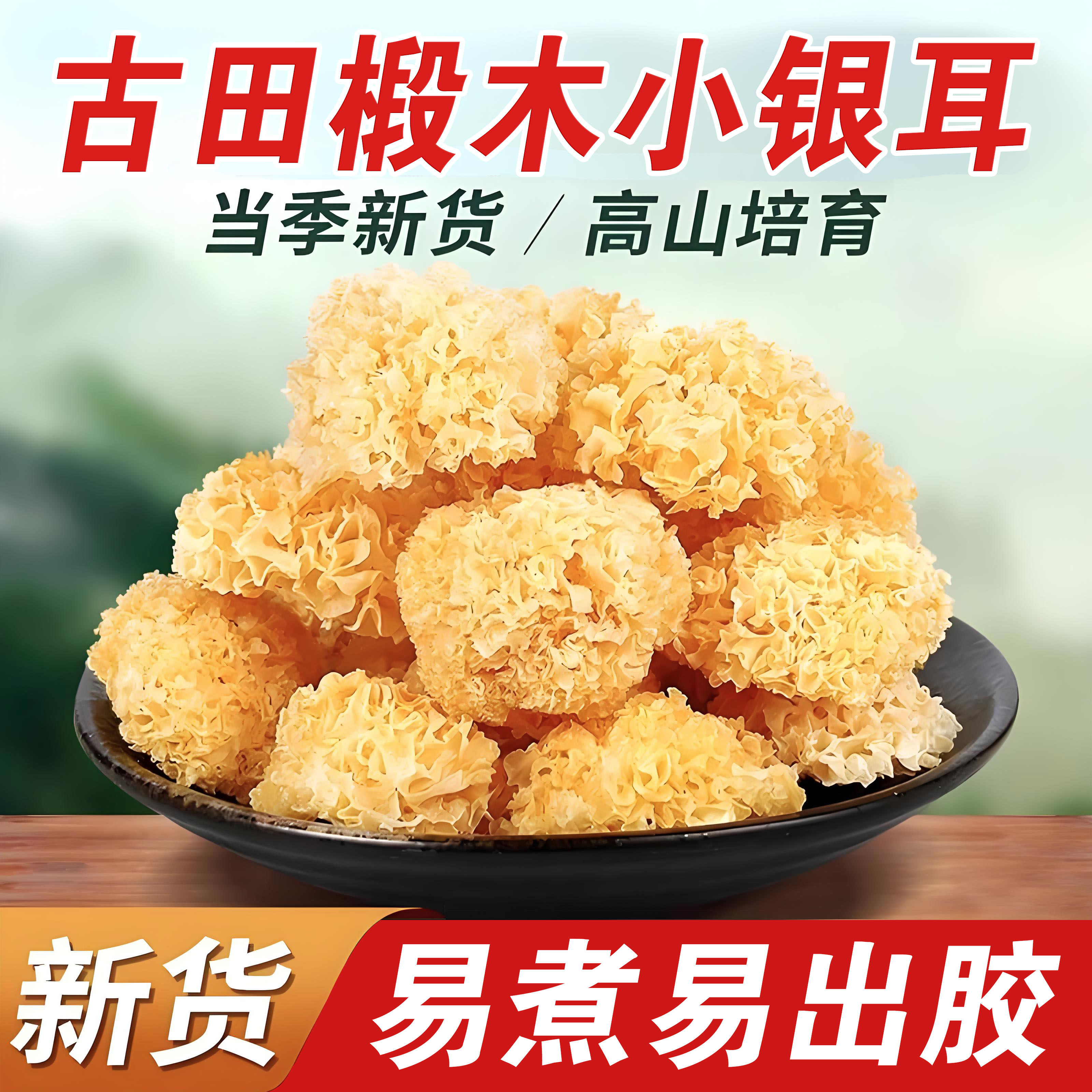 精选椴木小银耳干货非特级野生古田银耳雪耳羹新货无熏硫软糯多胶,粮油调味/速食/干货/烘焙,银耳/冻干银耳及银耳制品,淘宝优惠券,粉丝福利购,淘宝优惠卷