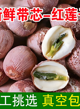 新货湖南特级有心红莲子干货带芯湘莲特产去芯磨皮无硫红皮莲子