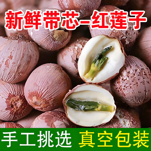 带皮红莲子中药材红皮带心莲子
