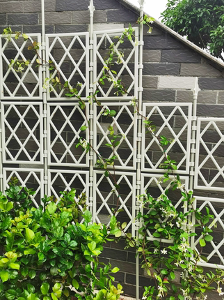 月季蔷薇花架靠墙爬藤支架户外花园庭院爬藤架网格围栏攀爬架子