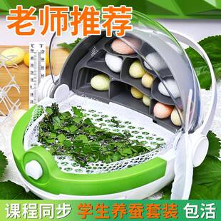 蚕宝宝学生养蚕套装活籽卵观察饲养盒小学生三年级高级太空舱桑叶